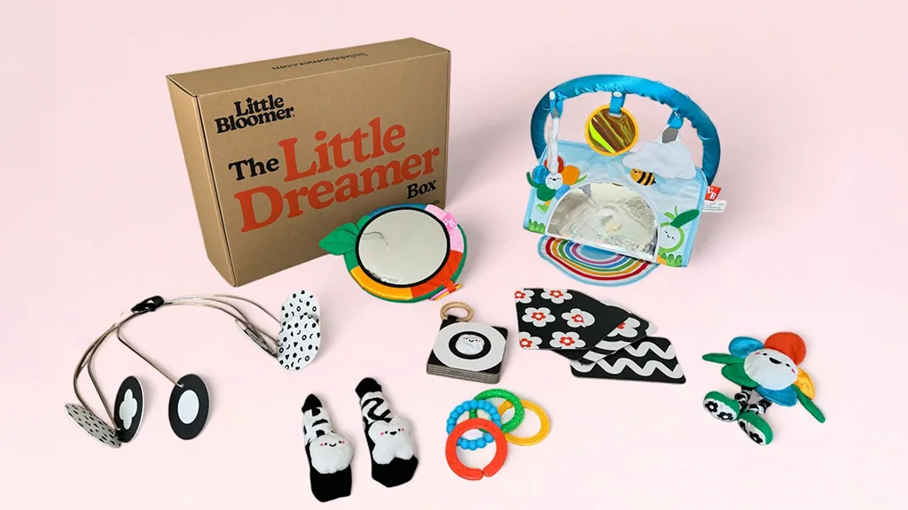 Los padres de primerizos pueden aliviar sus preocupaciones con las cajas de juegos educativos Little Bloomer