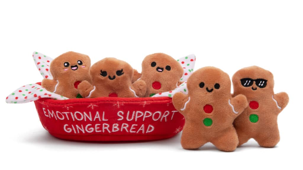 Grandes regalos navideños para adolescentes y jóvenes