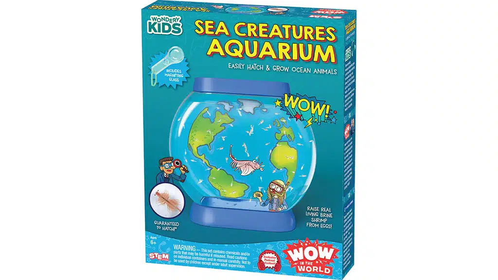 Avanza a toda velocidad con los kits STEM de Wow in the World