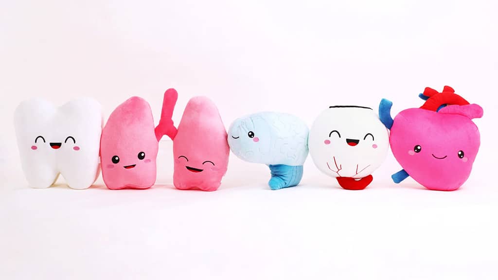 Los mejores peluches que puedes abrazar esta temporada navideña