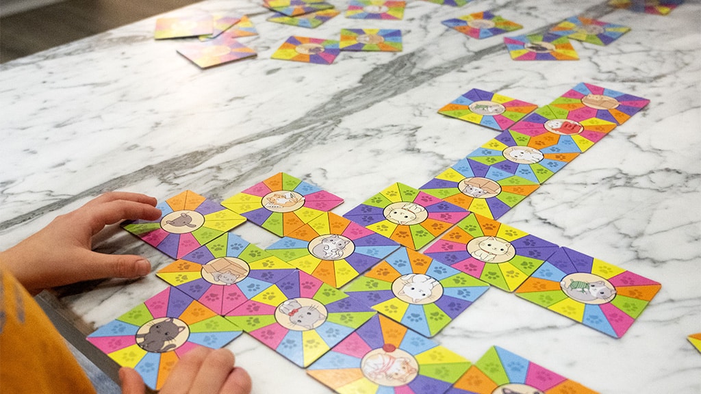 Project Genius arena para gatos