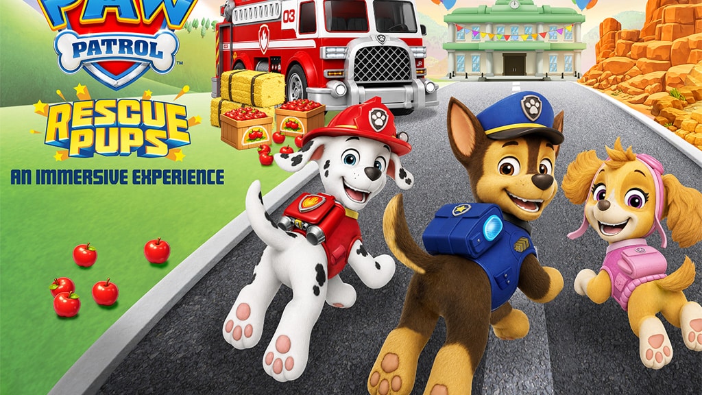 ¡Recoge tu paquete de cachorro para esta nueva experiencia de PAW Patrol!
