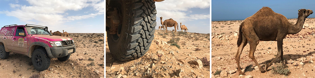 Informe de situación del Rally de Budapest - Bamako, día 7 de la carrera