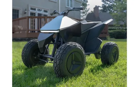 Playview Brands trae juguetes inflables de Minecraft y NERF al patio trasero.