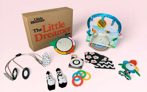 Los padres de primerizos pueden aliviar sus preocupaciones con las cajas de juegos educativos Little Bloomer