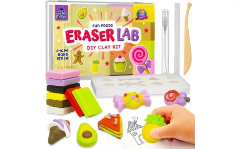 Juego de arcilla para hacer gomas de borrar Purple Ladybug DIY