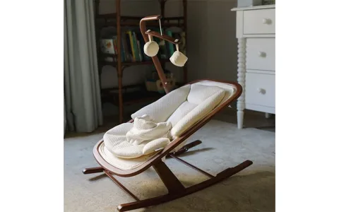 ¡Haz que la hora de dormir sea más cómoda con el columpio para bebés Snuggle Me Organic!