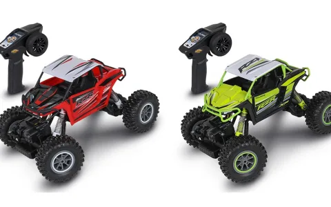 NKOK Polaris RZR XP 1000 coche teledirigido
