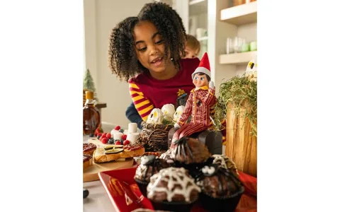 La Navidad se ha vuelto aún más mágica con la nueva colección de Elf on the Shelf de Harry Potter