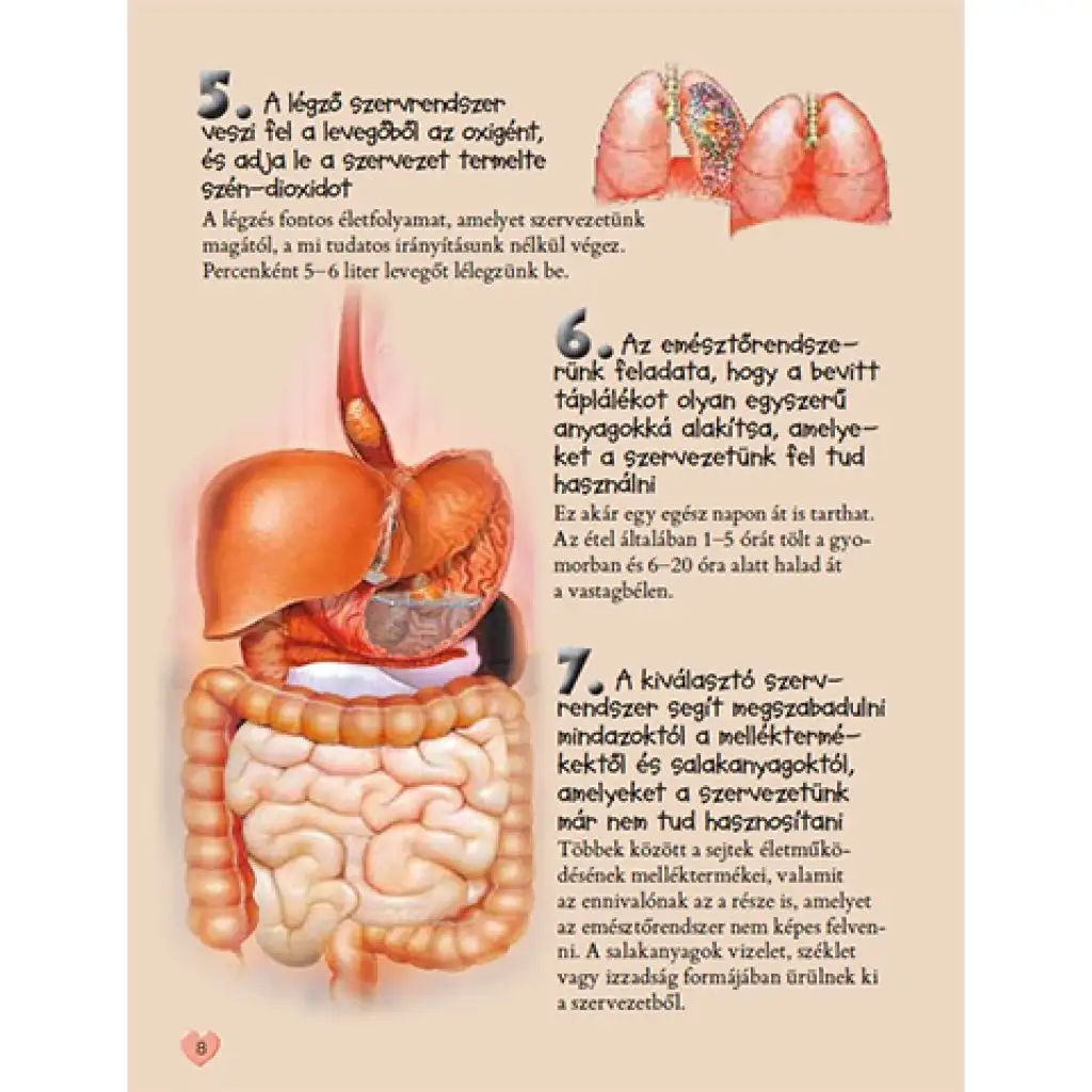 imagen de 101 cosas que es bueno saber sobre el cuerpo humano libro de divulgación 2
