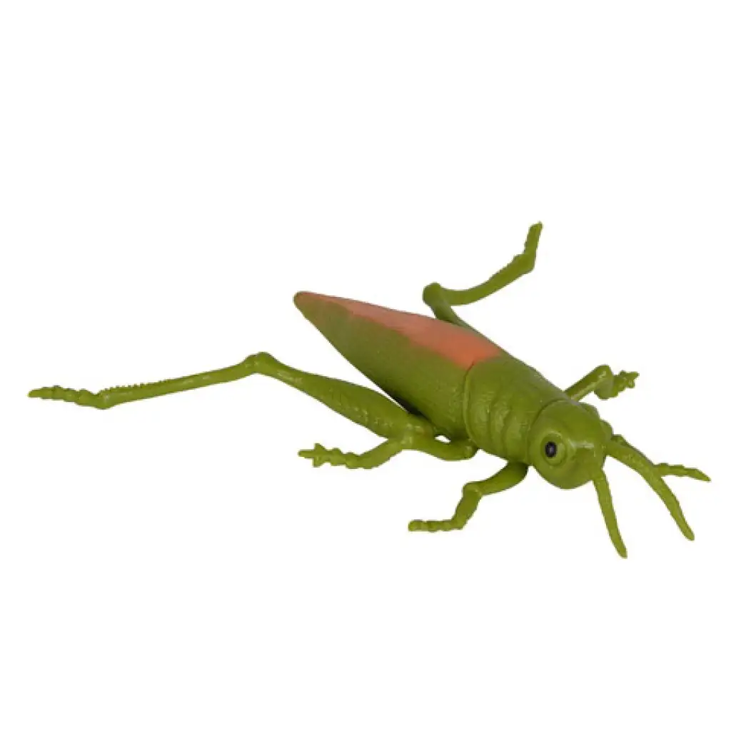 imagen de Animal estirado espantoso 5