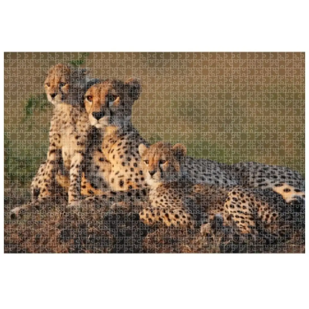 imagen de Animal Planet: Familia de guepardos puzzle de 1000 piezas 2