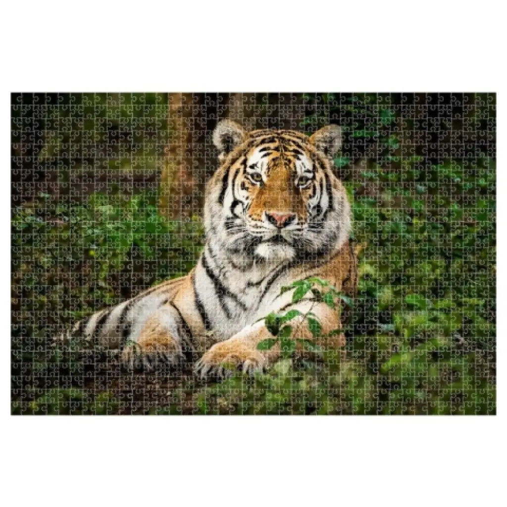 imagen de Animal Planet: Puzzle de Tigre de 1000 piezas 2