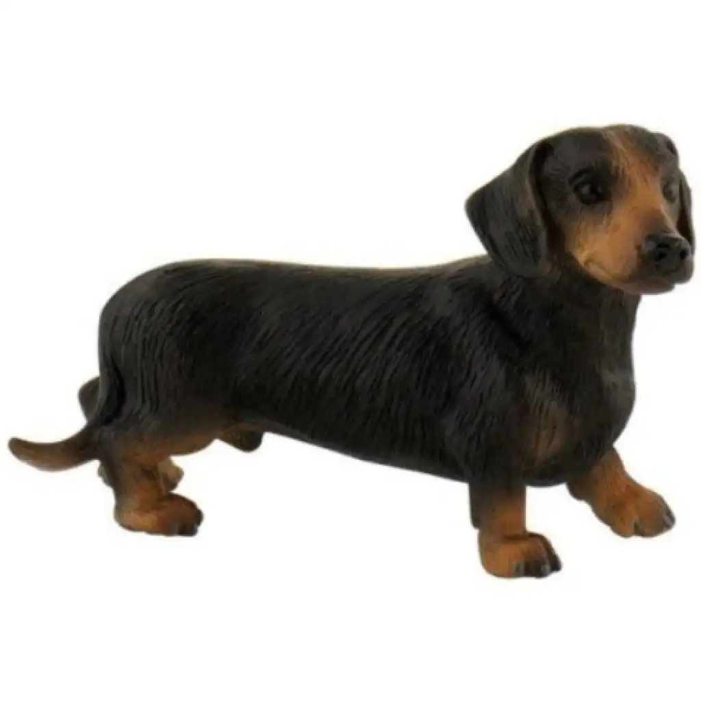 imagen de Apollo el perro salchicha de pelo corto figura de juguete - Bullyland 1