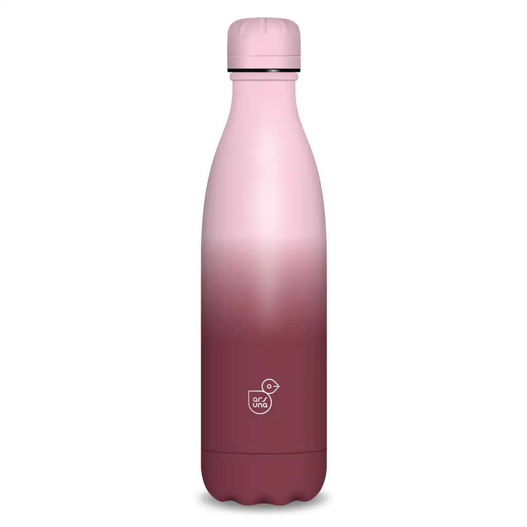 imagen de Ars Una: Botella de metal de doble pared Gradient 500ml 1
