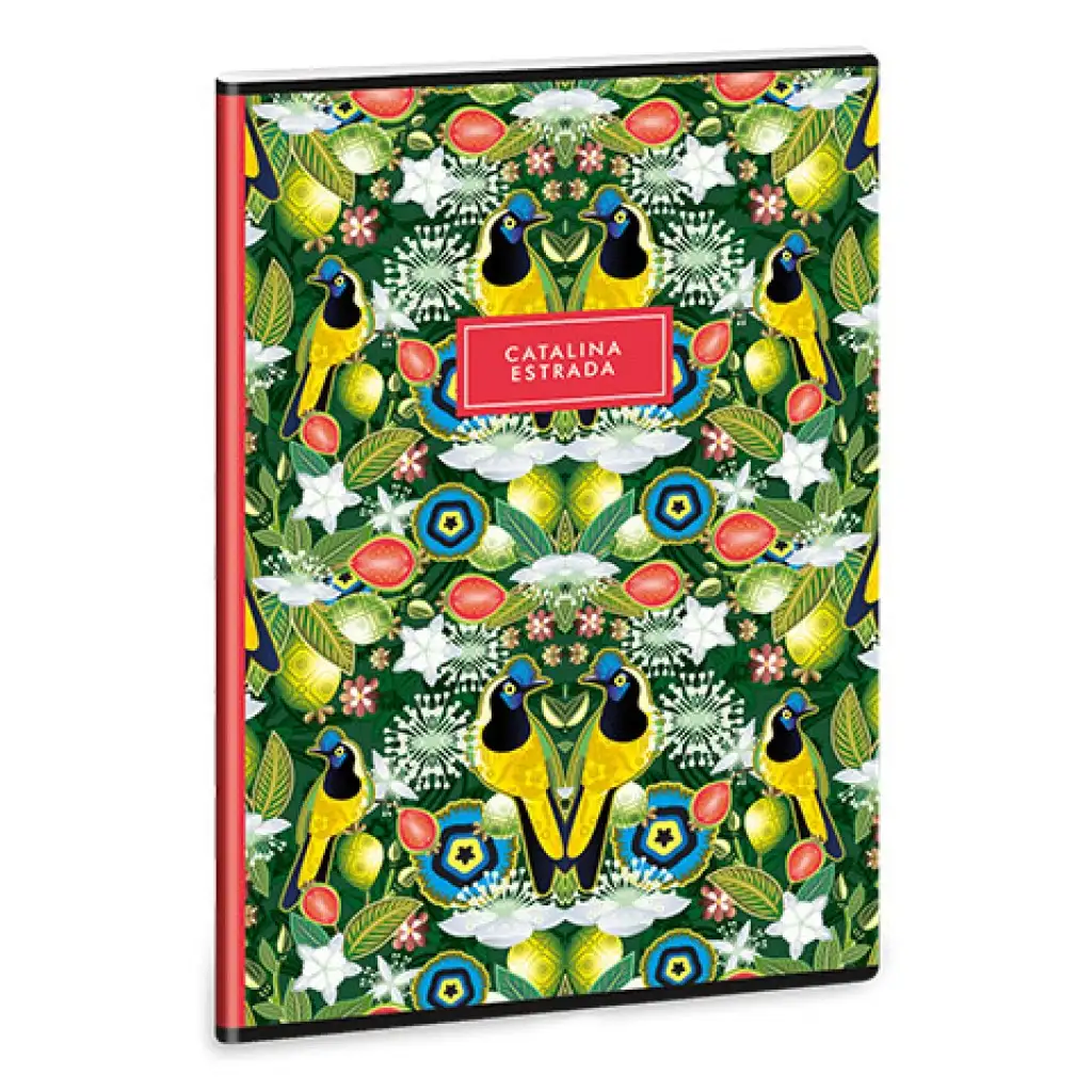imagen de Ars Una: Catalina Estrada Carriqui A/4 extra de tapa dura cuaderno liso 1