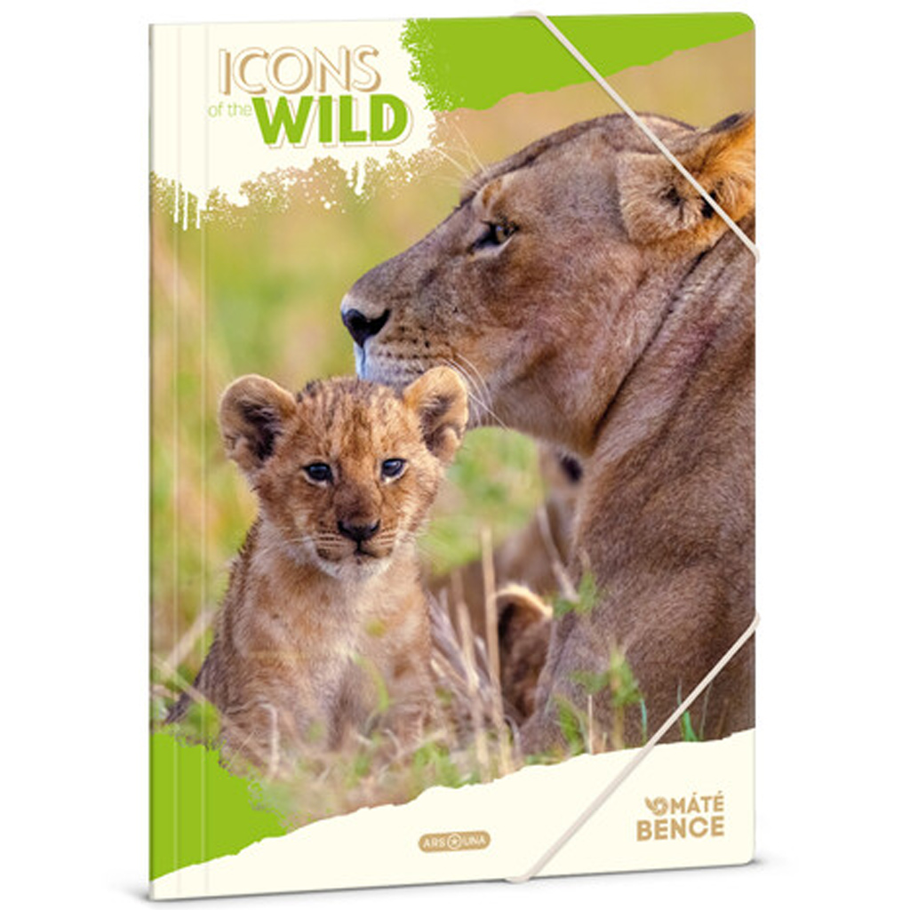 imagen de Ars Una: Máté Bence Icons of the Wild-Leones A/4 carpeta con goma 1