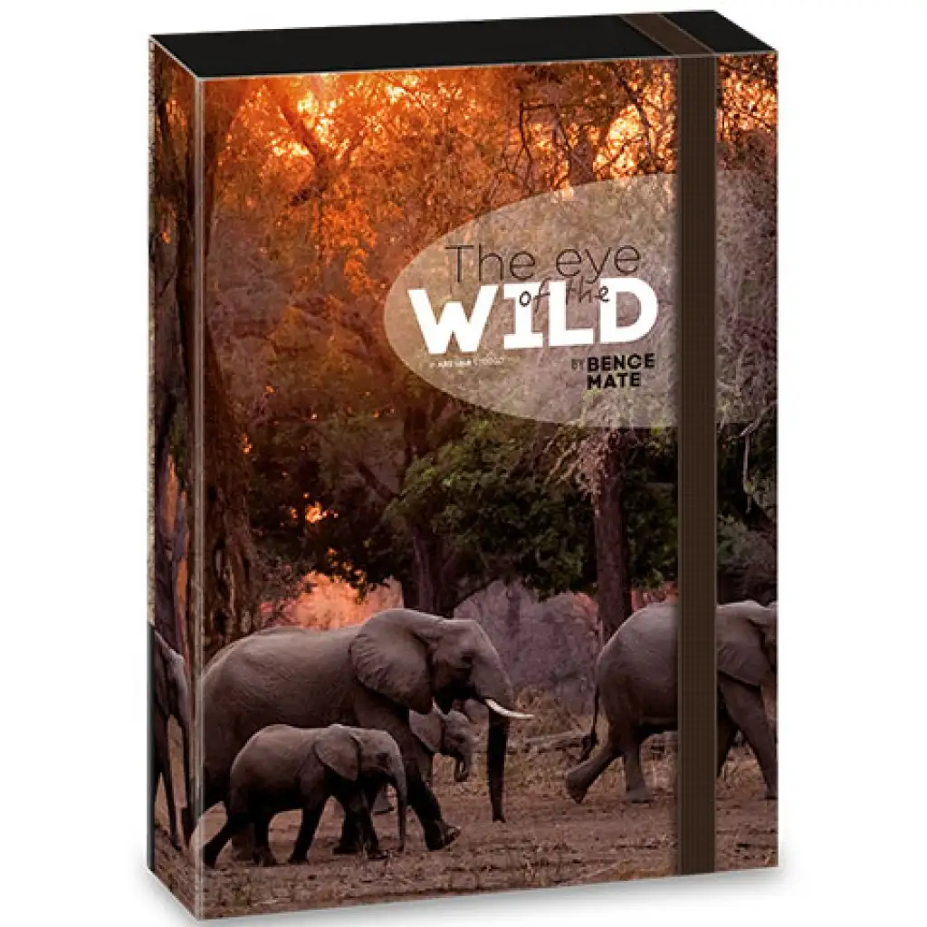 imagen de Ars Una: Máté Bence The Eyes of the Wild - Caja de cuadernos A/4 1