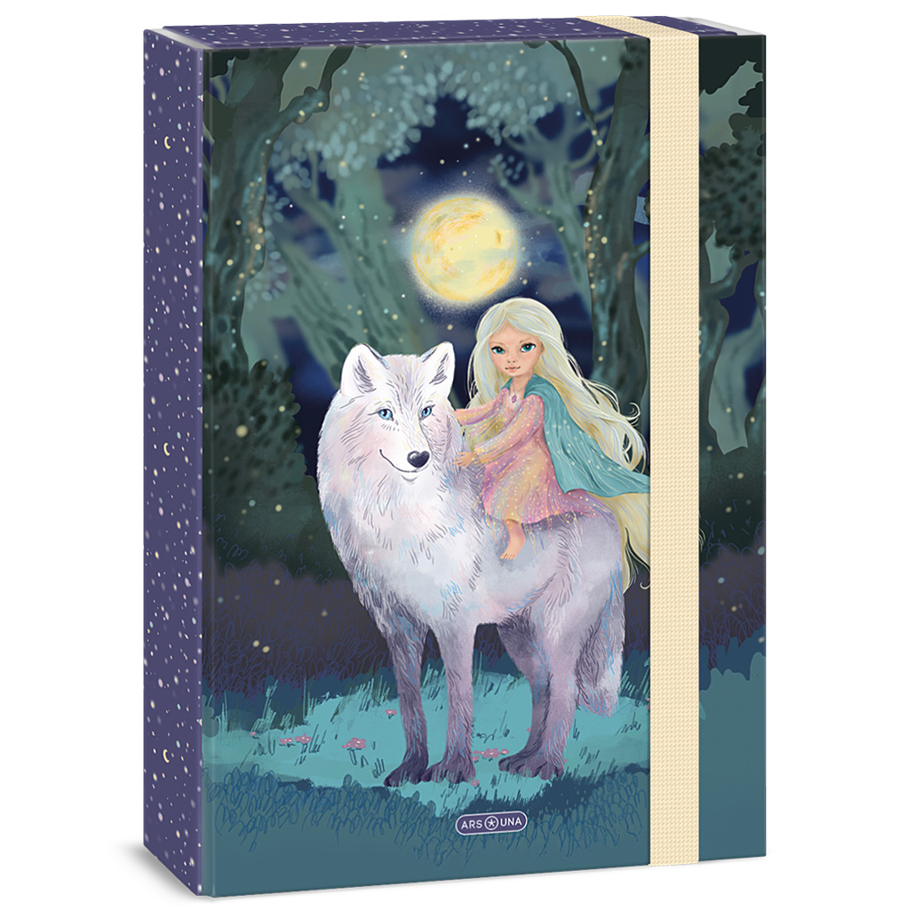 imagen de Ars Una: Northern Lights caja de cuadernos A/4 1