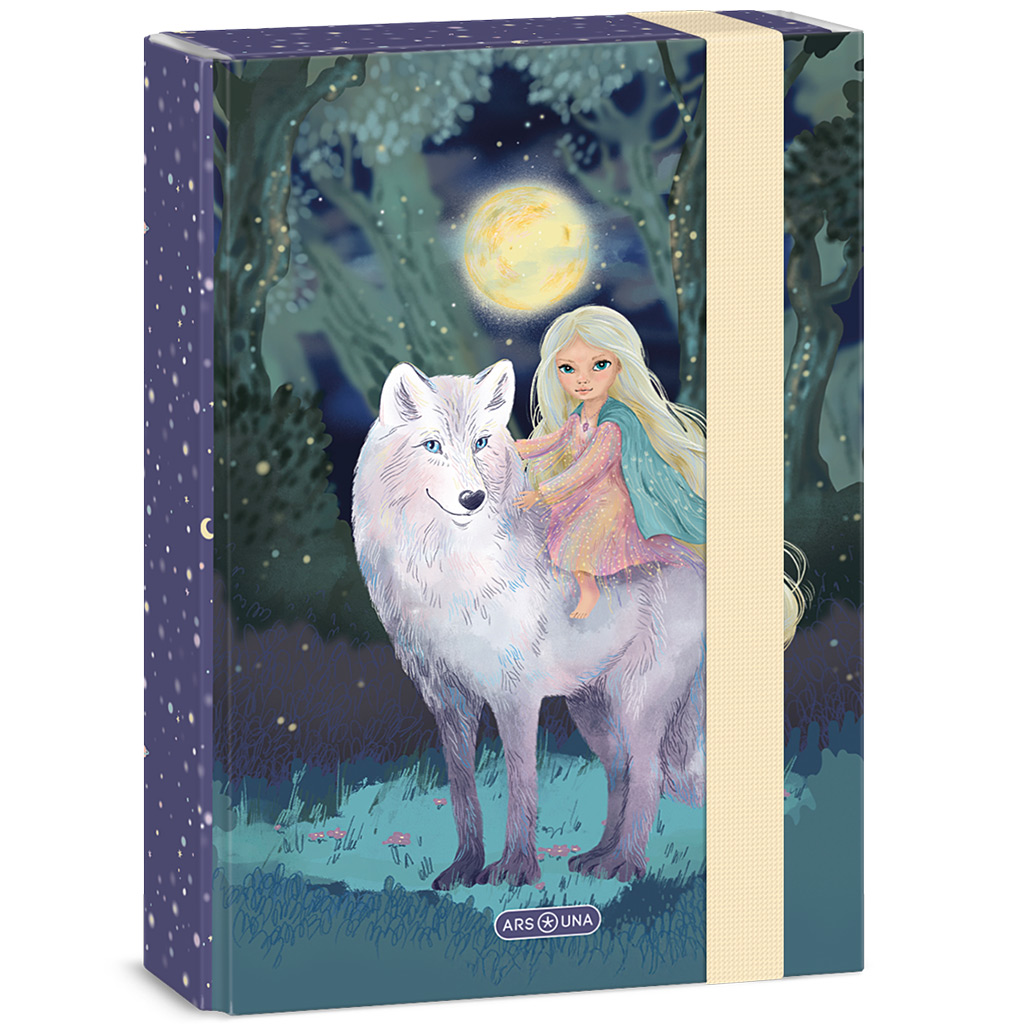 imagen de Ars Una: Northern Lights caja de cuadernos A/5 1