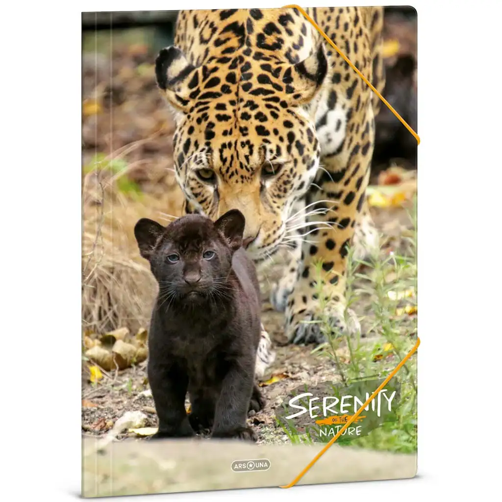 imagen de Ars Una: Serenity – Jaguar A/4 carpeta con goma 1