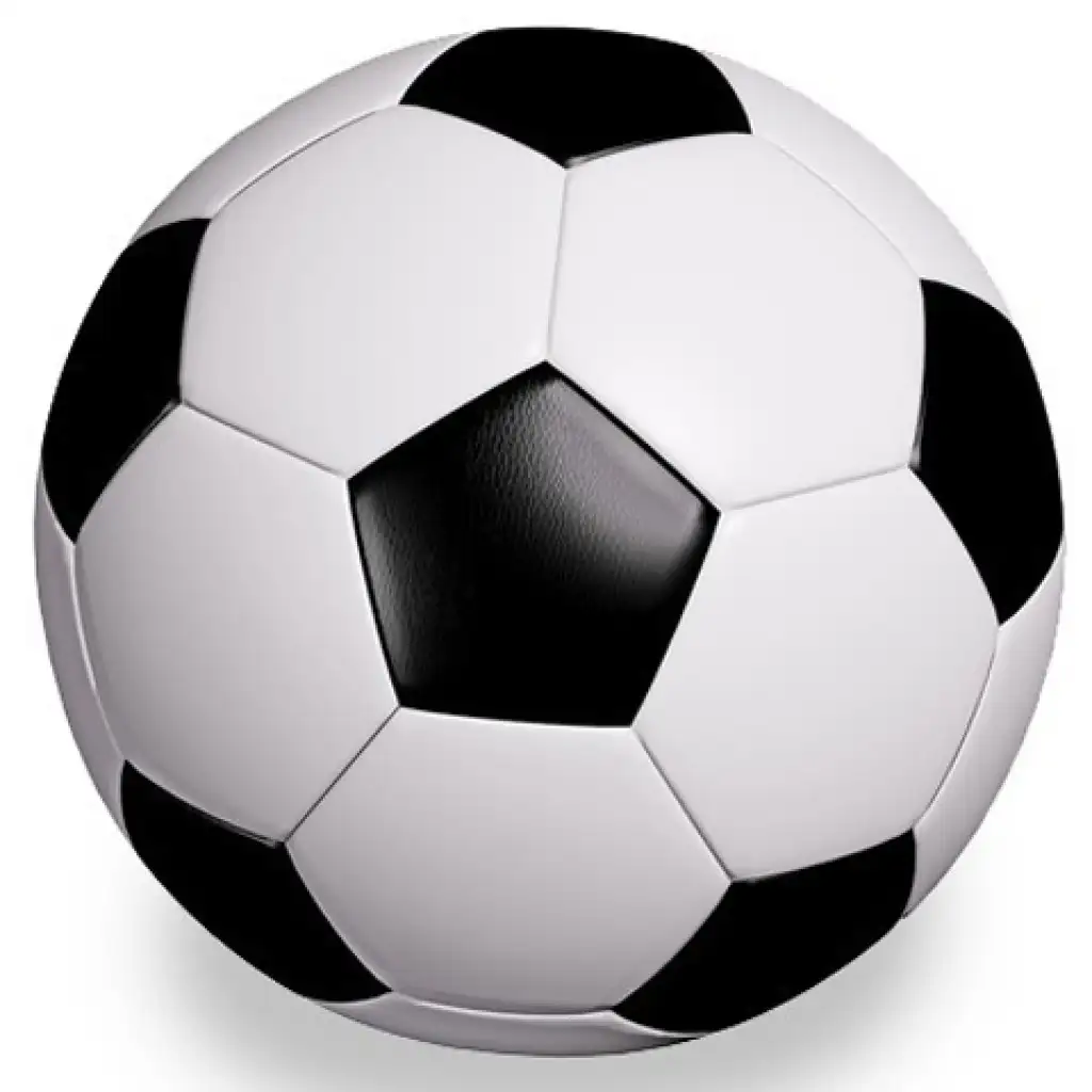 imagen de Balón de fútbol blanco y negro de 23 cm 1