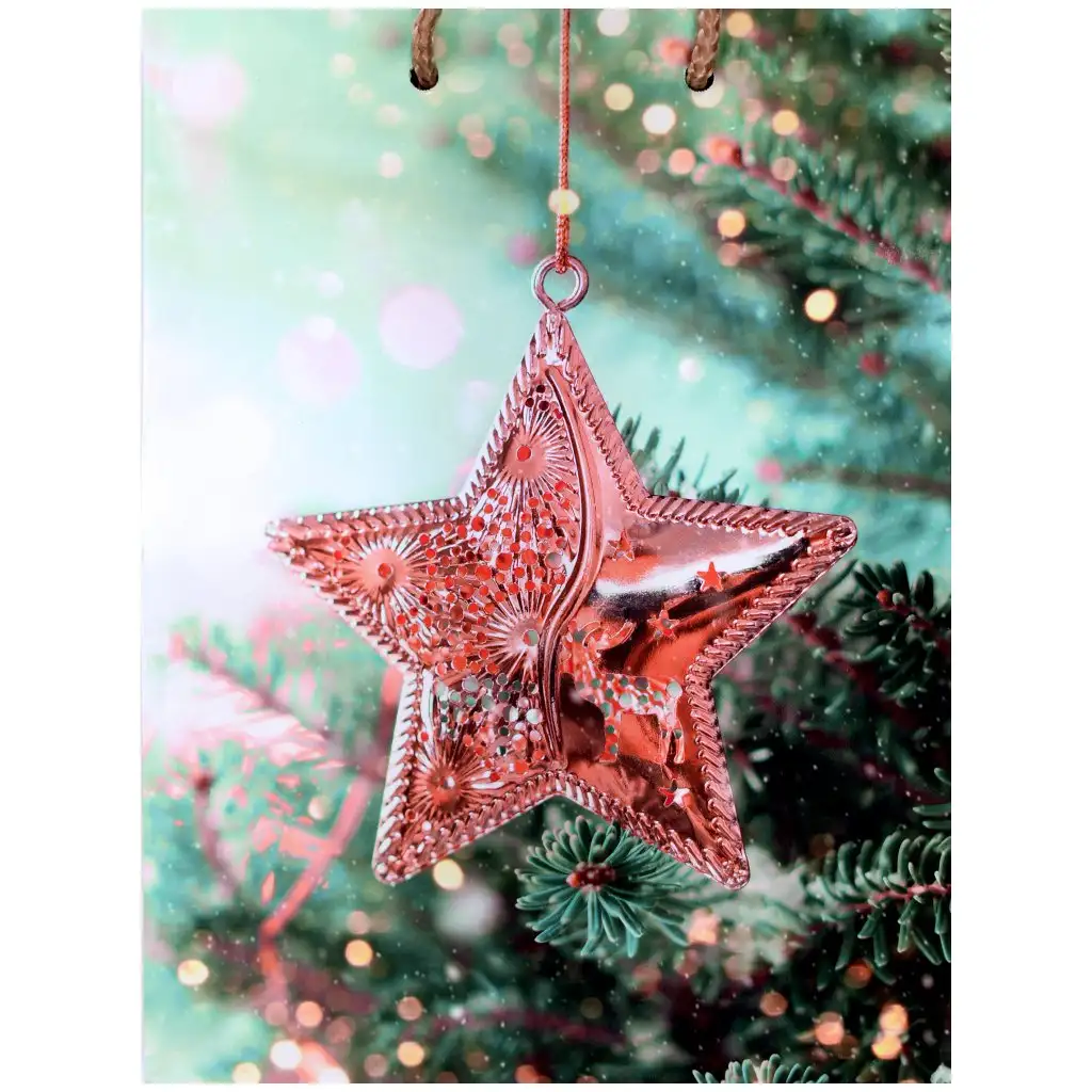 imagen de Bolsa de regalo con diseño de estrella navideña 17,5x22,5x9,5cm 1
