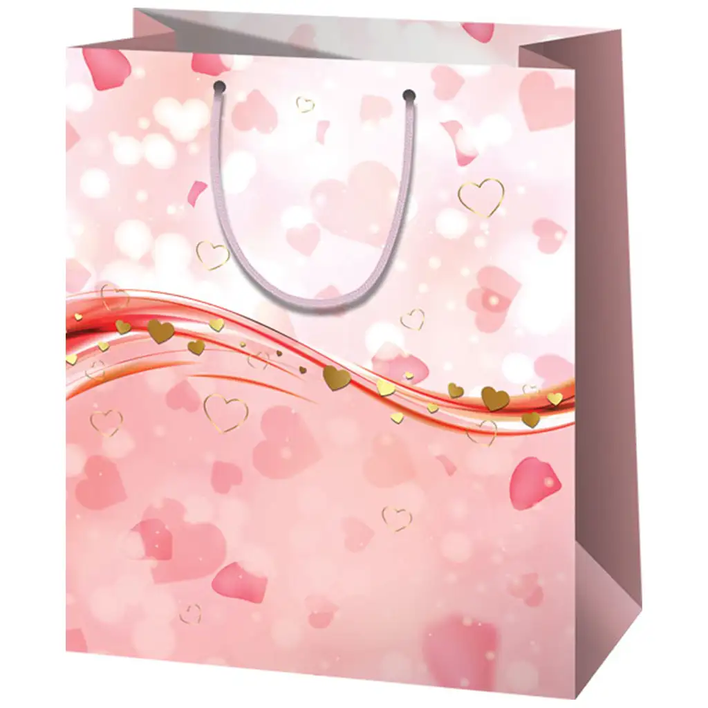 imagen de Bolsa de regalo exclusiva de tamaño normal con corazones rosas 11x6x14cm 1