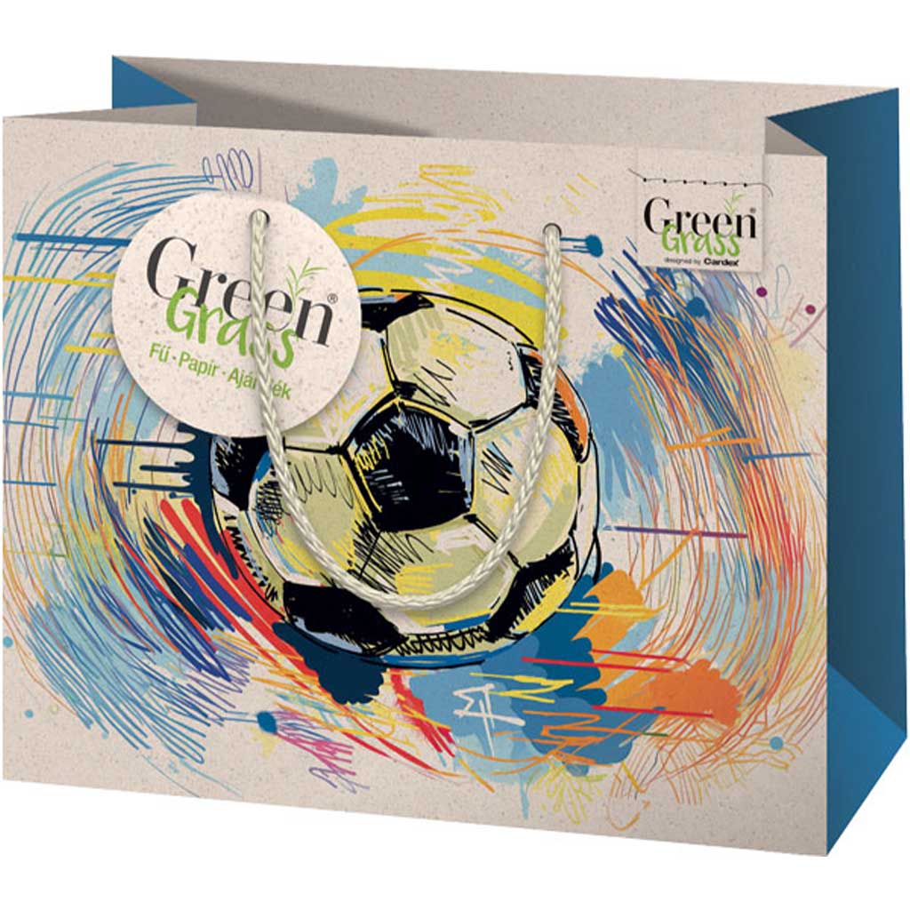 imagen de Bolsa de regalo mediana con diseño de balón de fútbol Green Grass 18x10x23cm 1