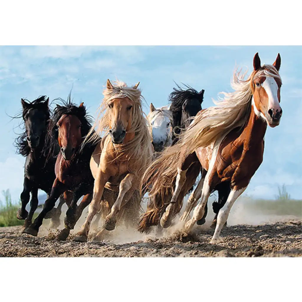 imagen de Caballos galopantes rompecabezas de 1000 piezas - Trefl 2