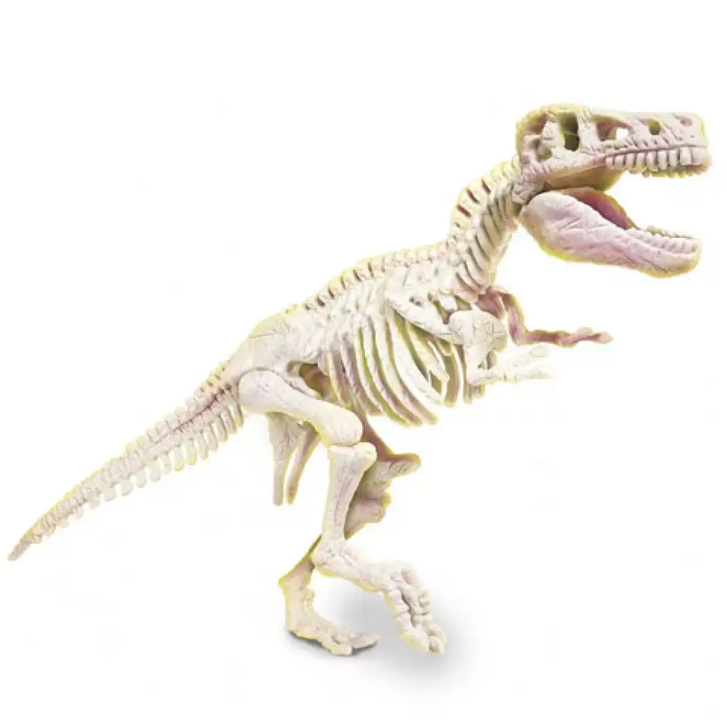 imagen de Ciencia y Juego: Kit de arqueología T-Rex fluorescente - Clementoni 3