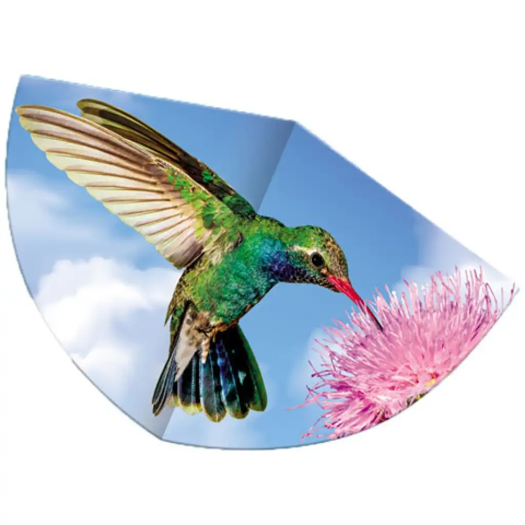imagen de Colibrí cometa 1