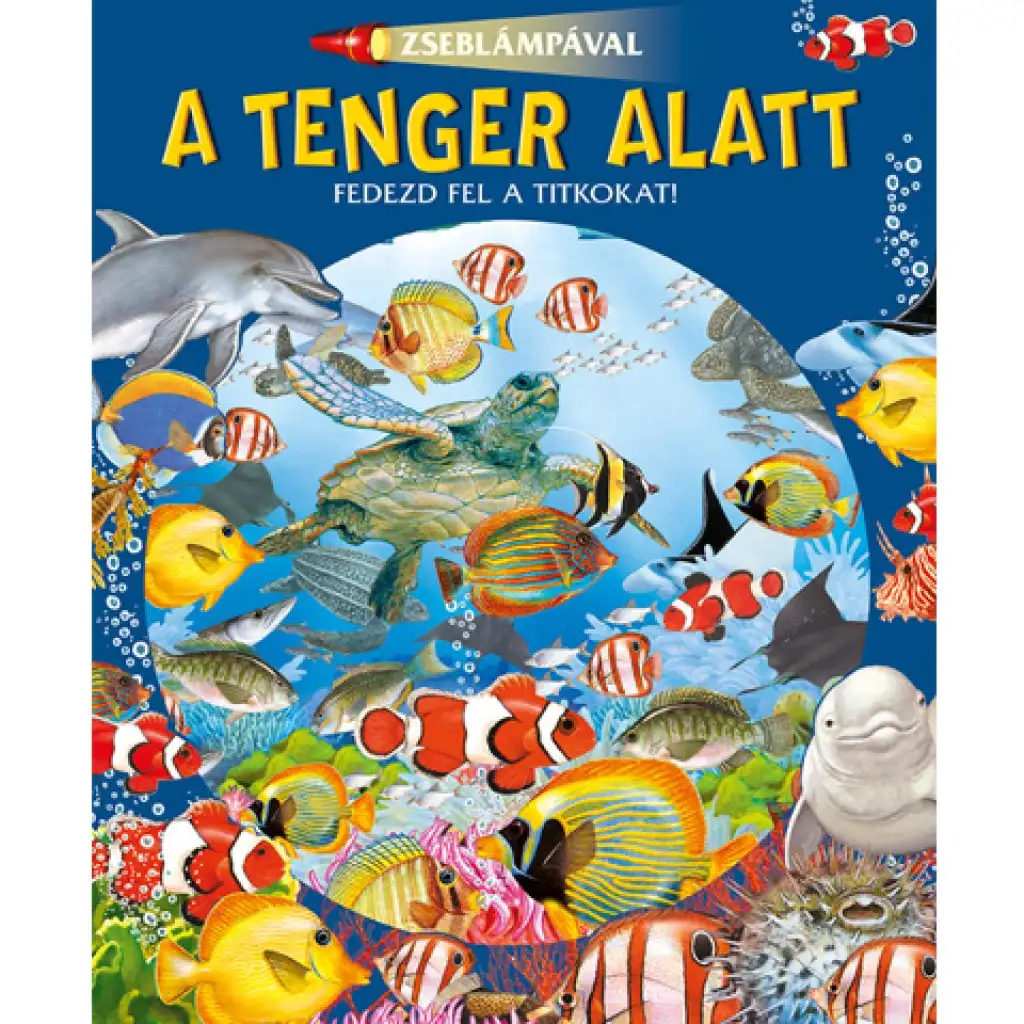 imagen de Con linterna - Libro de divulgación sobre el mar 1