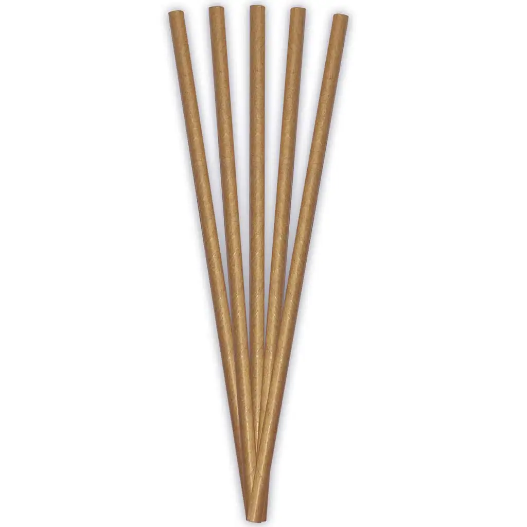 imagen de ECO pajita de papel – 20 cm, set de 24 unidades 1