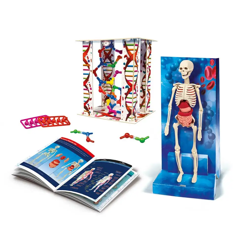 imagen de El set de juego científico del cuerpo humano - Clementoni 2