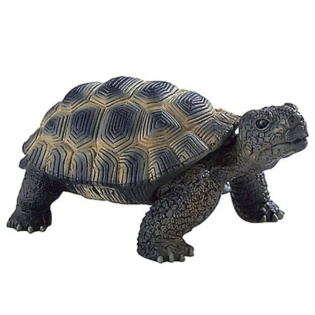imagen de Figura de tortuga 1