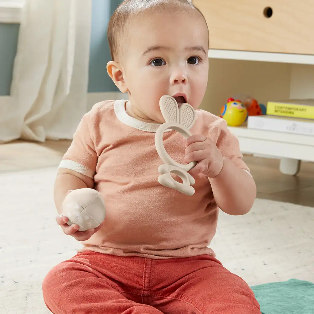 imagen de Fisher-Price: Sensimals Hola Sensación set de juguetes para bebés de 4 piezas - Mattel 5