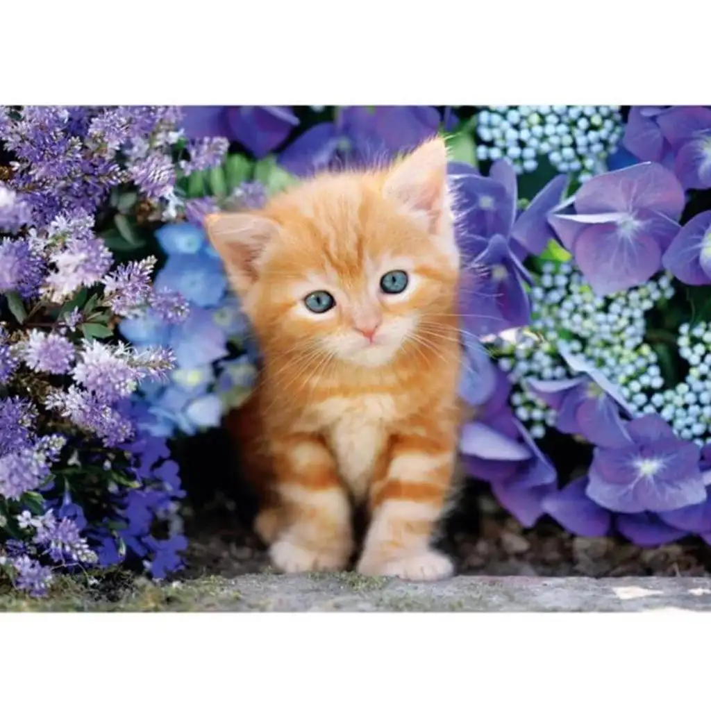 imagen de Gato rojo entre flores 500 piezas HQC rompecabezas - Clementoni 2