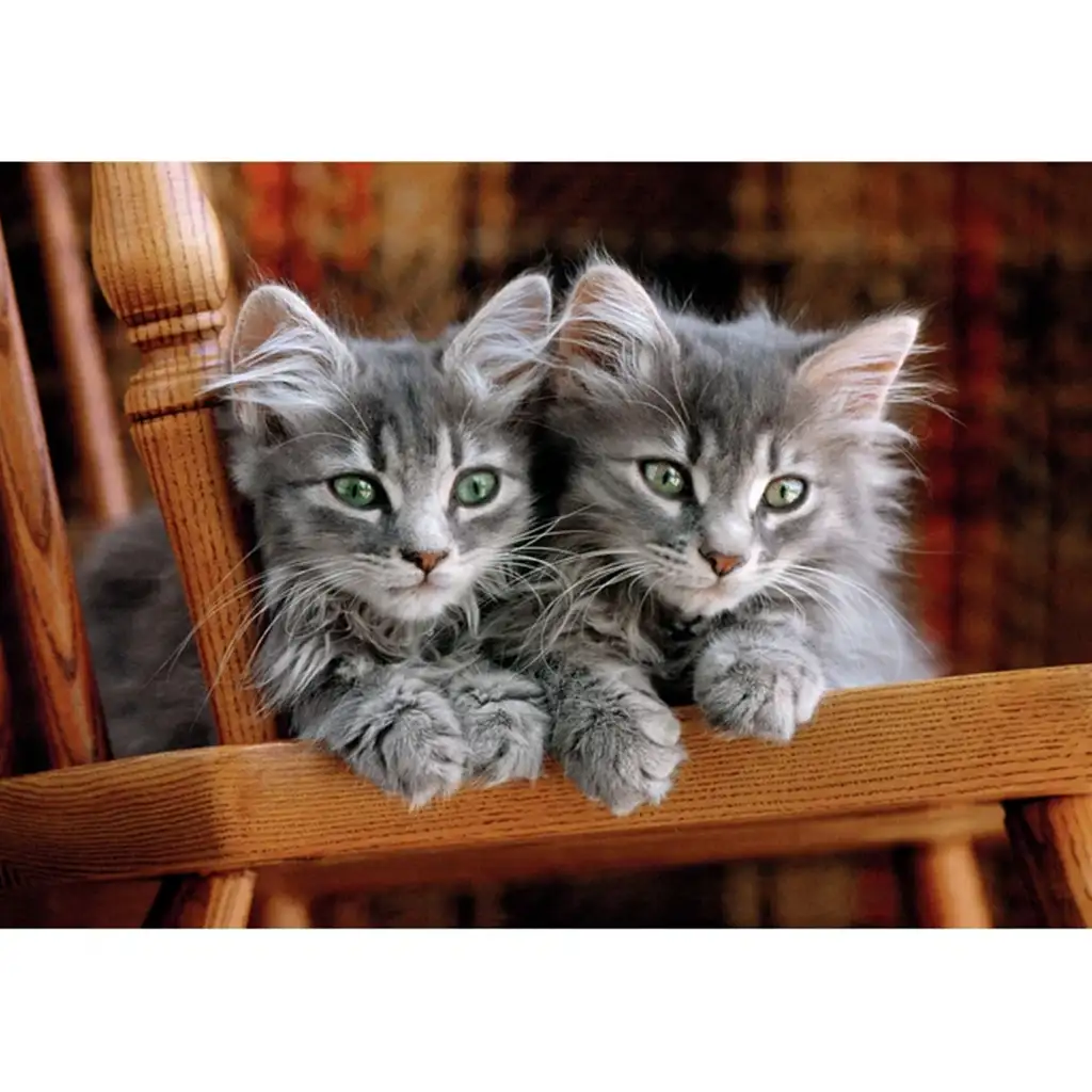imagen de Gatos grises 500 piezas HQC rompecabezas - Clementoni 2