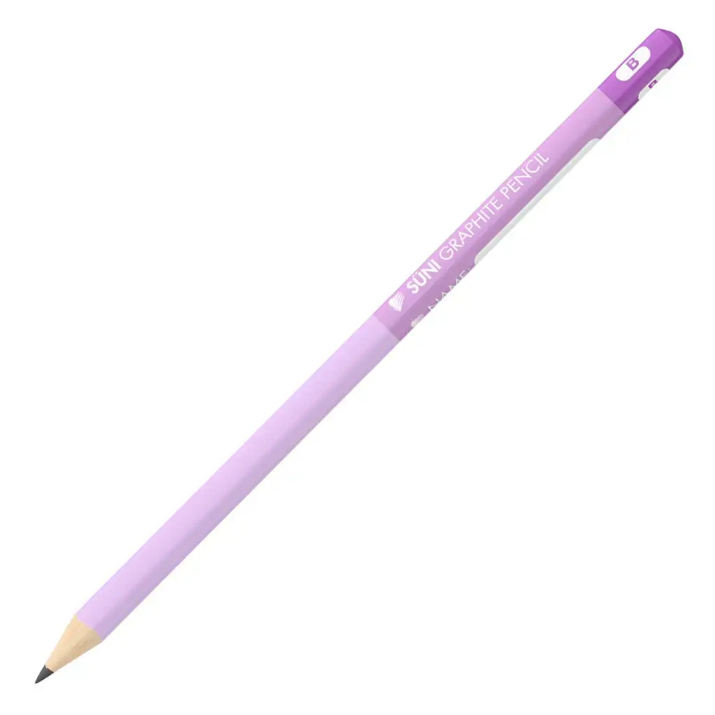 imagen de ICO: Erizo lápiz de grafito triangular morado B 1