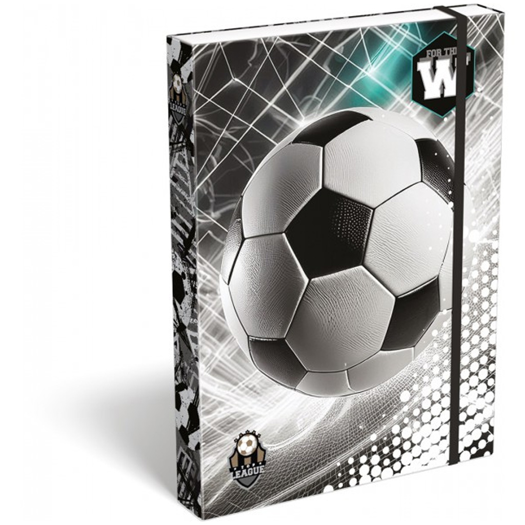 imagen de ICO: Lizzysuli Top League FTW caja de cuadernos A/4 1