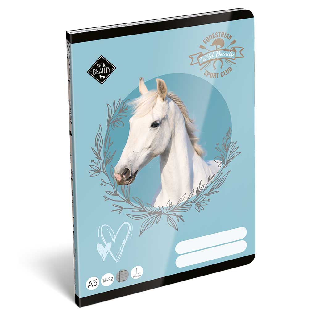 imagen de ICO: Lizzysuli Wild Beauty Sport Club cuaderno de líneas de 2º grado 1