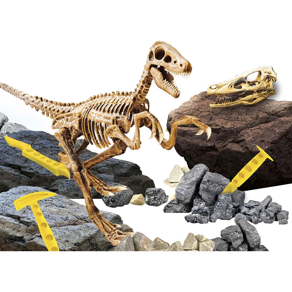 imagen de I'm Genius Velociraptor arqueólogo set - Lisciani 3