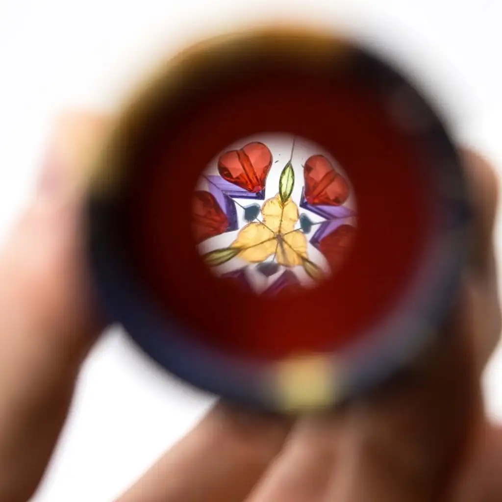 imagen de Kaleidoscopio de animales en varias versiones 2