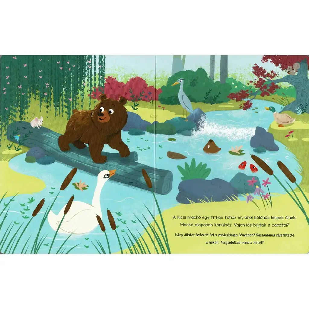 imagen de Lámpara mágica - El libro de cuentos de los habitantes del bosque 2