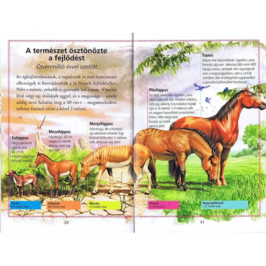 imagen de ¡Lee con nosotros! (3) - La historia de los caballos libro infantil 3