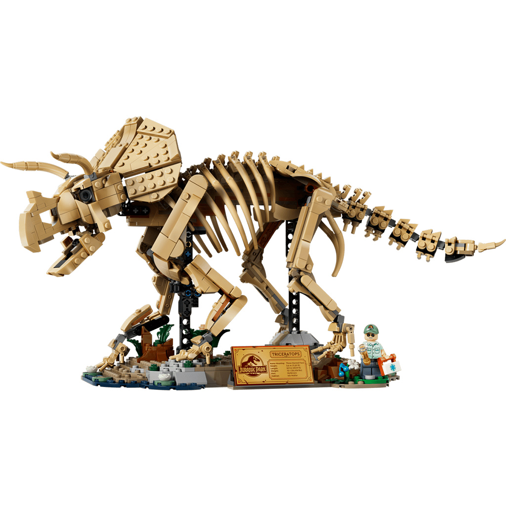imagen de LEGO® Jurassic World™: Restos de dinosaurio: Triceratops (77985) 2