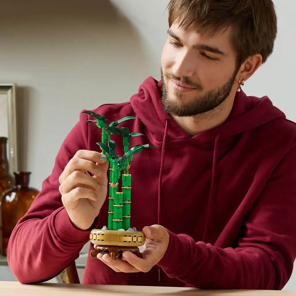 imagen de LEGO®: Lego Bambú de la Suerte (10344) 3