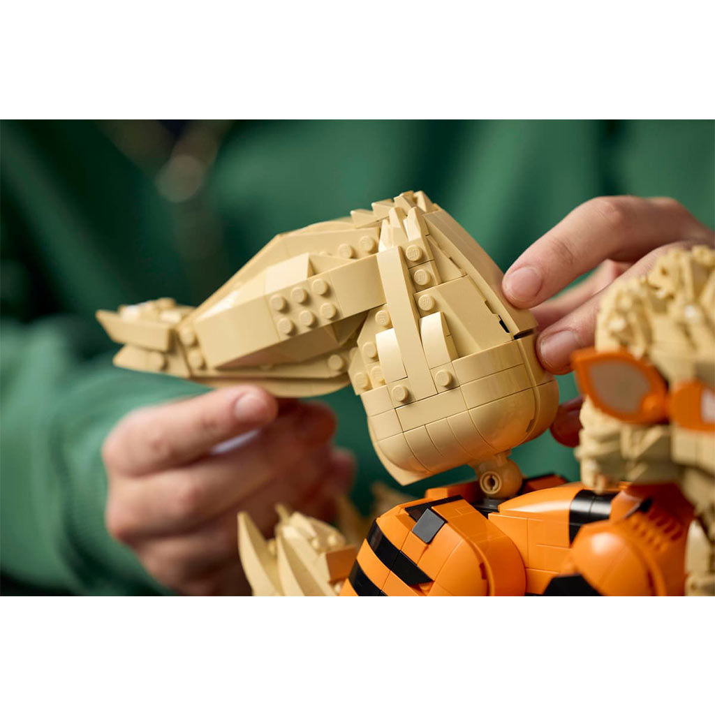 imagen de LEGO® Pokémon: Arcanine (72160) 13