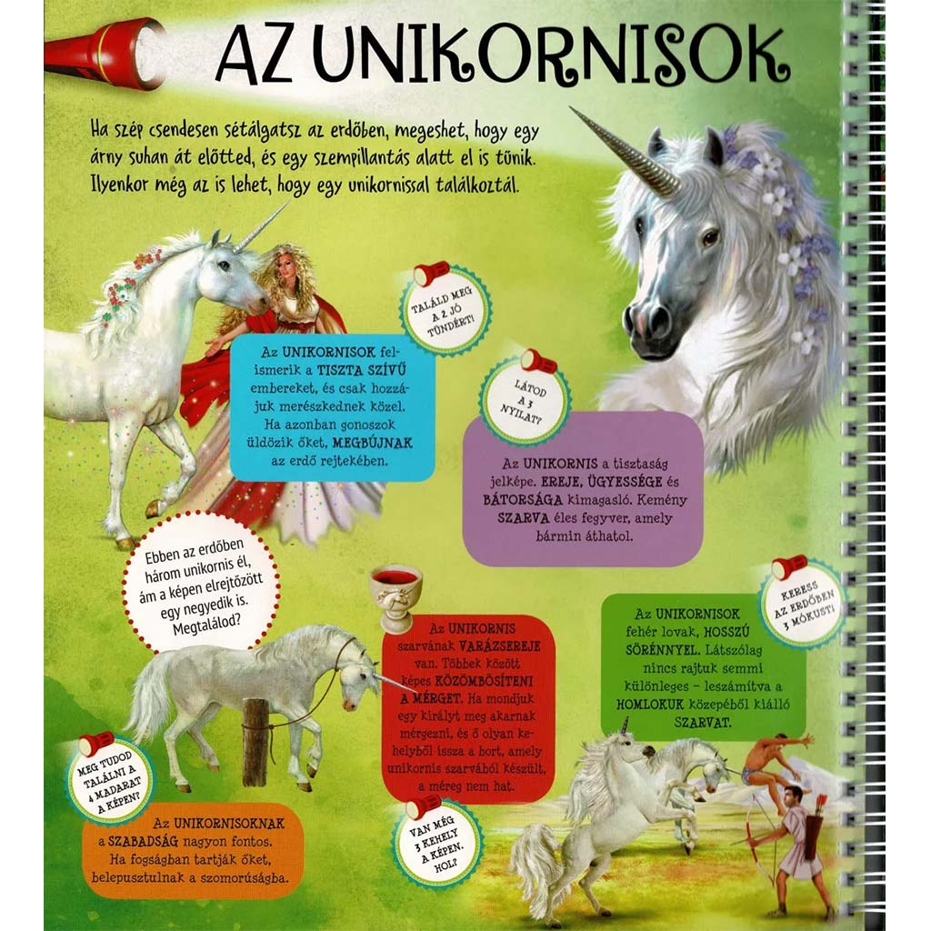 imagen de Linterna - En busca de los unicornios 3